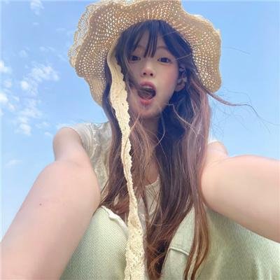 兰闺飞凤 封面